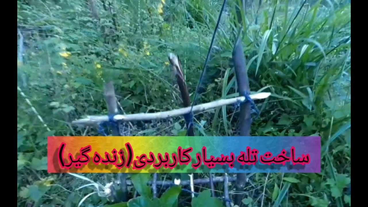 ساخت تله زنده گیر برای خوک خرگوش و شغال / خیلی کاربردی و دقیق