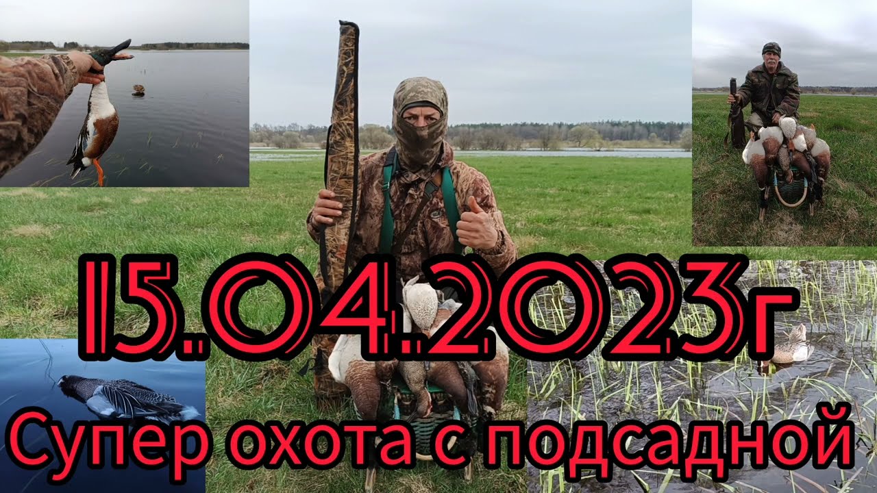 ОХОТА НА СЕЛЕЗНЯ С ПОДСАДННОЙ. СУПЕР УТРЯНКА 2023.#охотасподсадной#охотанаселезня#подсаднаяутка
