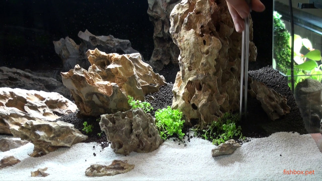 Kako postaviti aquascape akvarij
