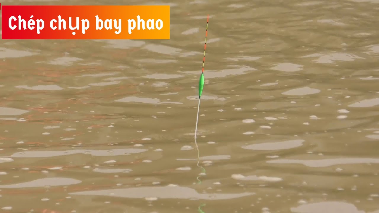 ✅ Câu cá chép nước sâu, ăn mồi rơi, phao hố đấu tự cân TORO vào việc | DUY FISHING SAI GON