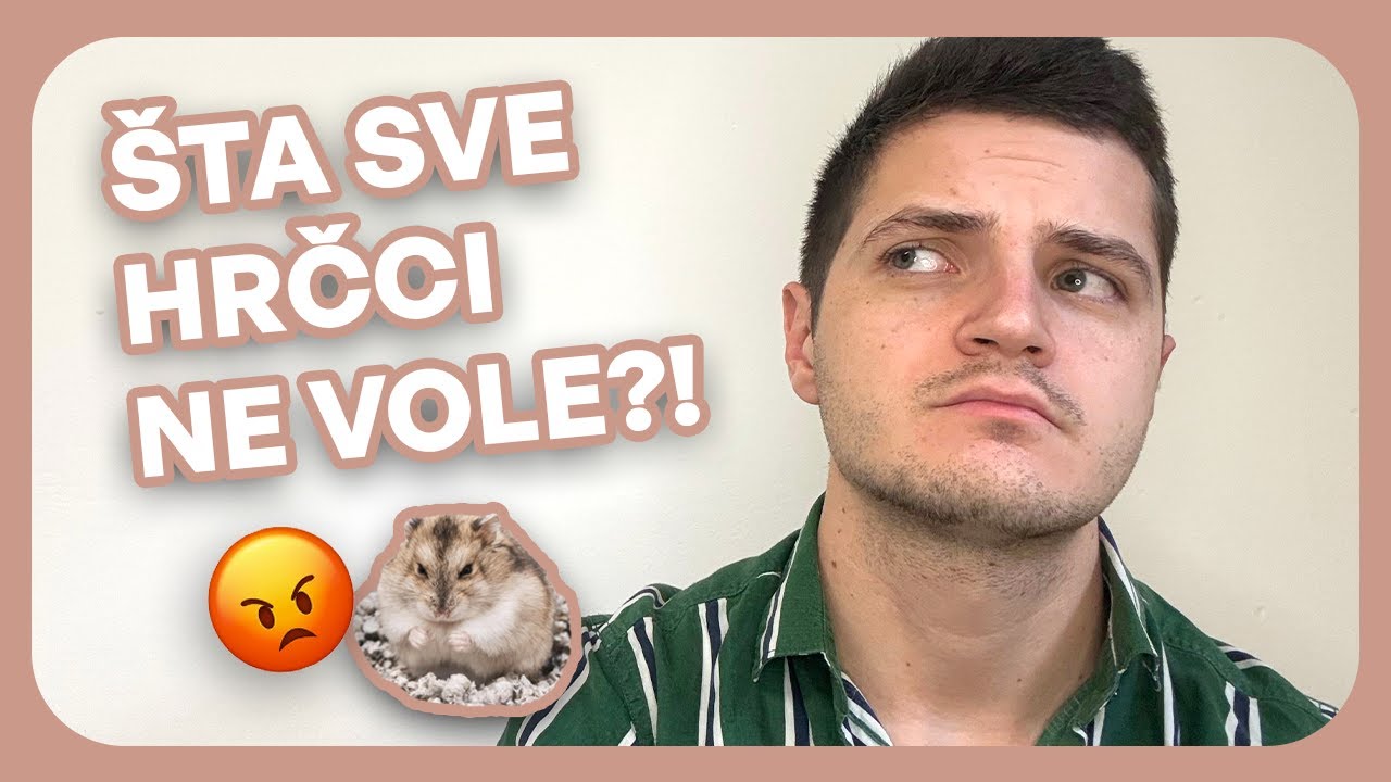 20 Stvari koje hrčci NE vole 🐹❌