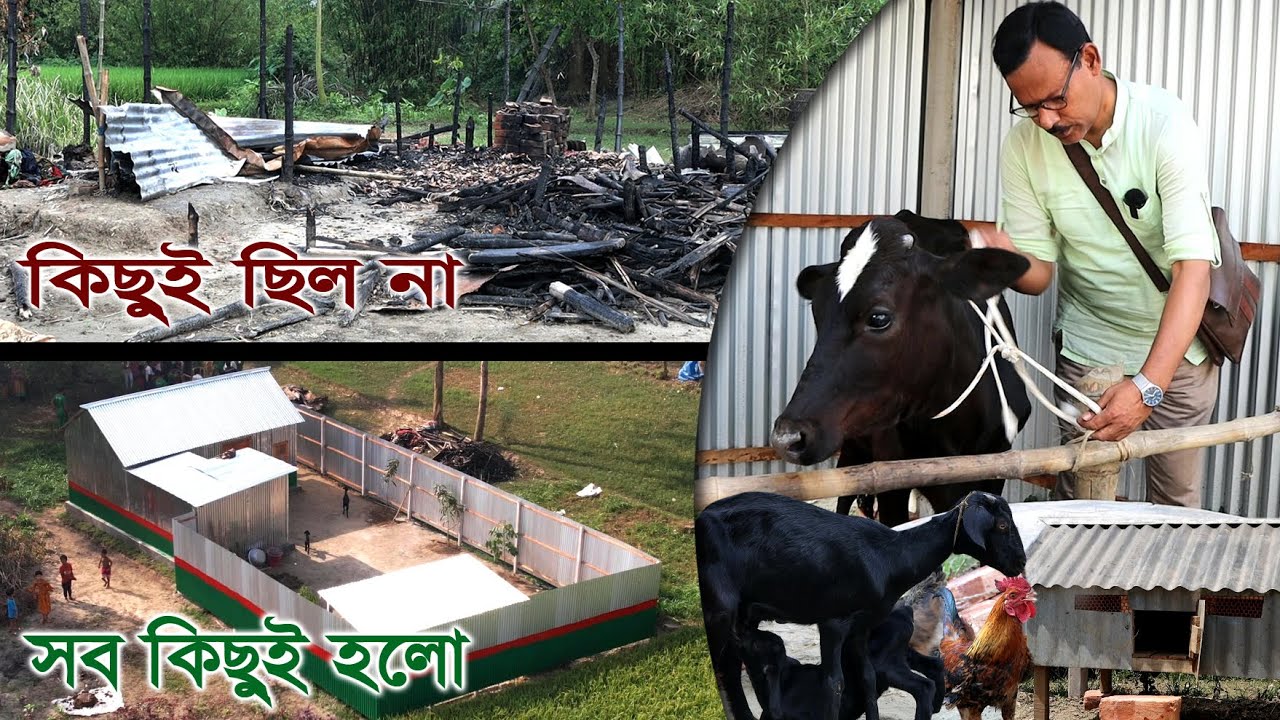 717-ঘুরে দাড়ালো আগুনে পুড়ে যাওয়া পরিবারটি   - র.ই মানিক চিত্রপুরী R.I.Manik,Chitrapuri,Krishichitra