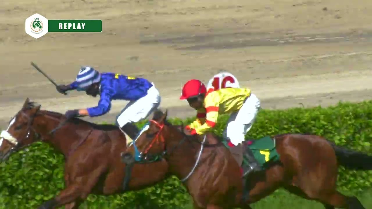 Race Winner Trigger | Lahore Winter Meeting 2023-2024 #horseracing #racing #lrc #horse #horses #race