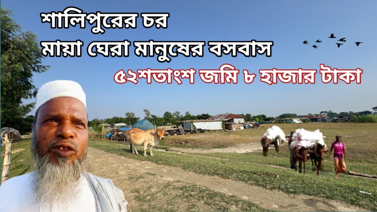 ৫২ শতাংশ জমি মাত্র ৮ হাজার টাকা খামার করার উপযোগী! villagelife/rurallife/Country life 