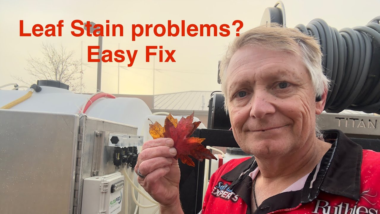 Leaf stains have you down?  Here is our fix.