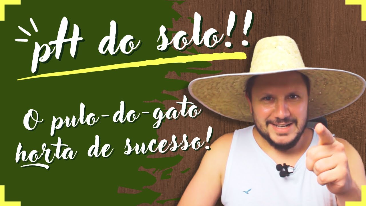 HORTA CASEIRA: COMO O 