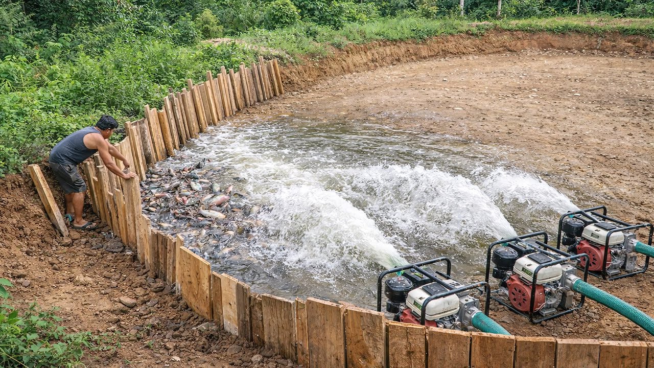 Man Builds Massive Fish Pond with Primitive Concrete by Hand in the Jungle | Start to Finish