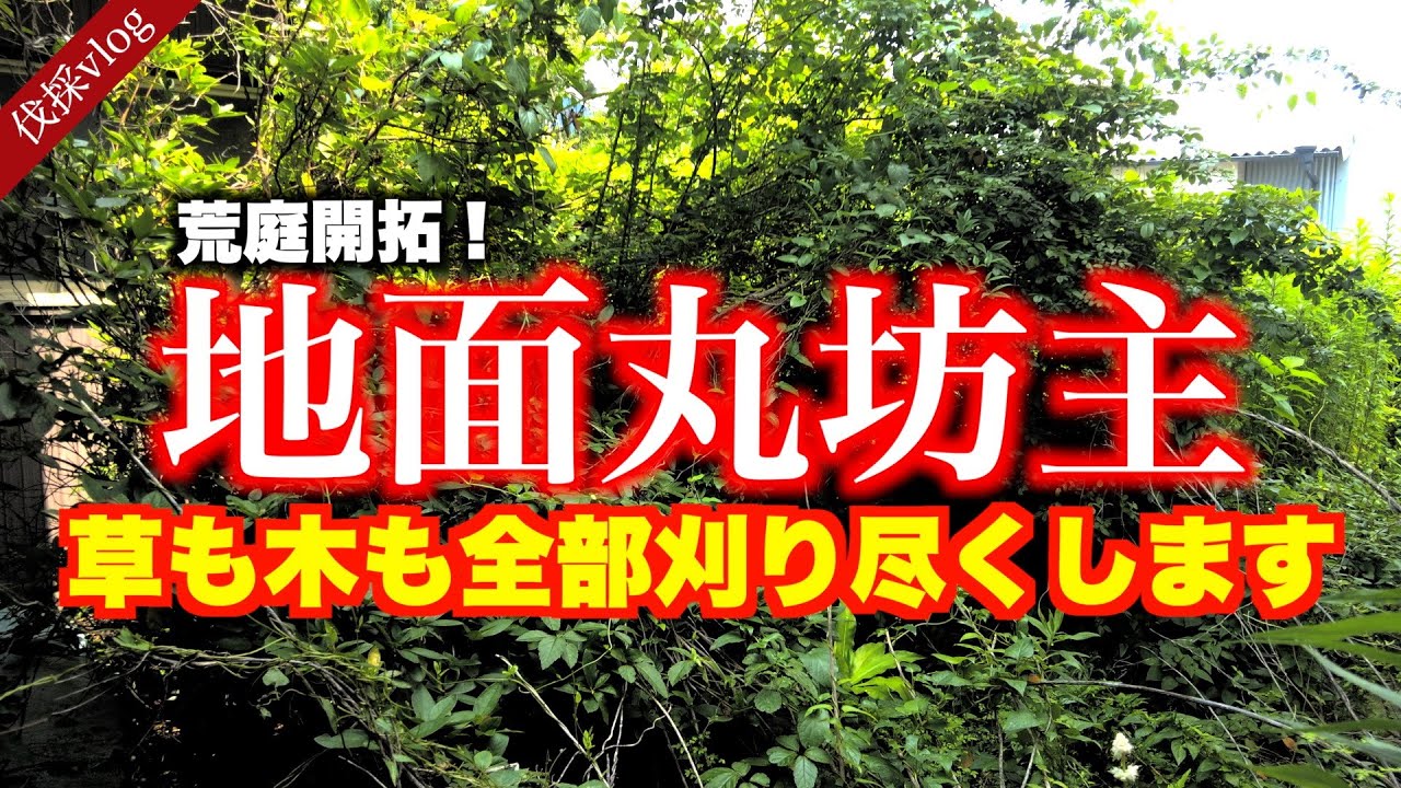 【伐採】【草刈】酷暑の伐採祭、全て伐ります