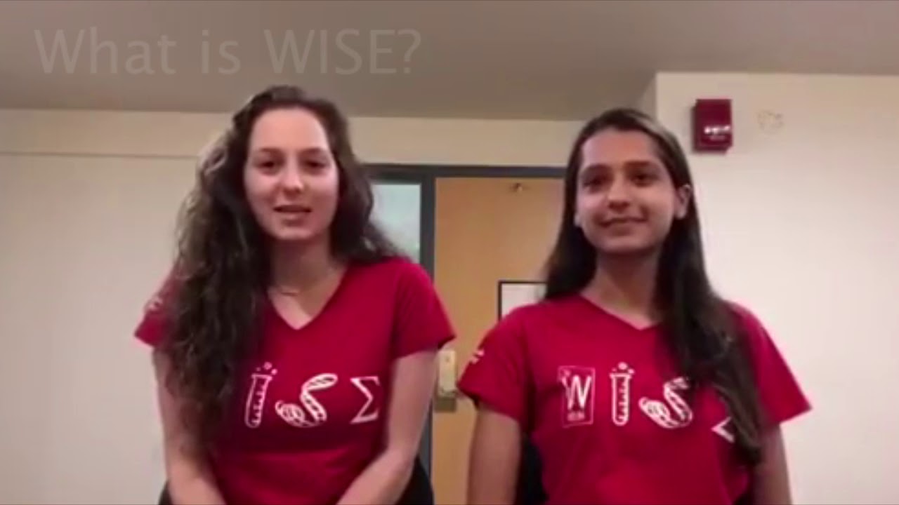 What is WISE?