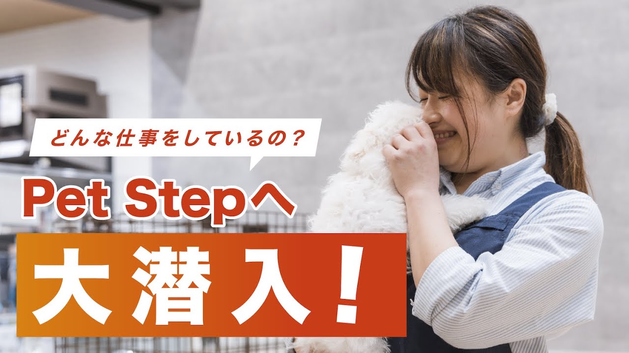 【お仕事紹介】Pet Stepへ大潜入！ / ペットショップのお仕事