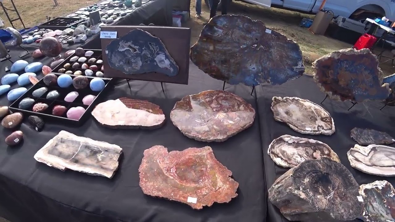 Epic Day at the 50th Annual Stoddard Wells Rockhound Tailgate! 🌵💎  (March 2026)
