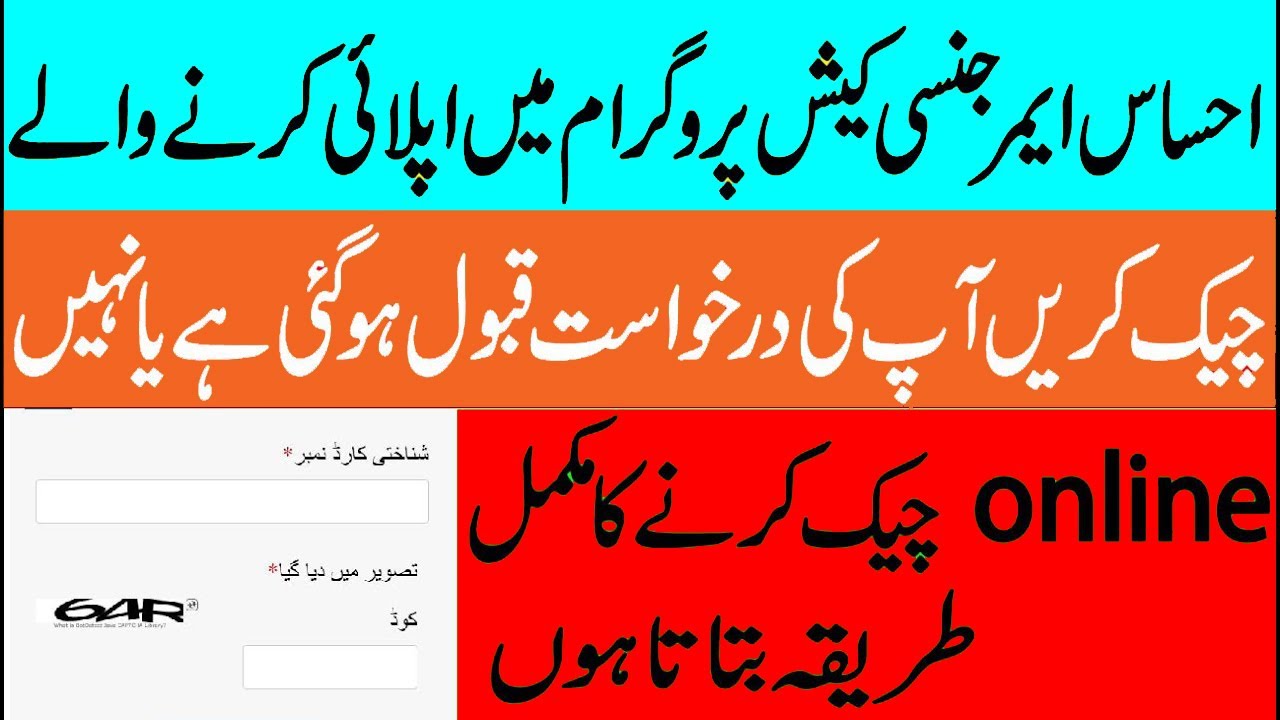 how to check your ehsaas emergency cash program application