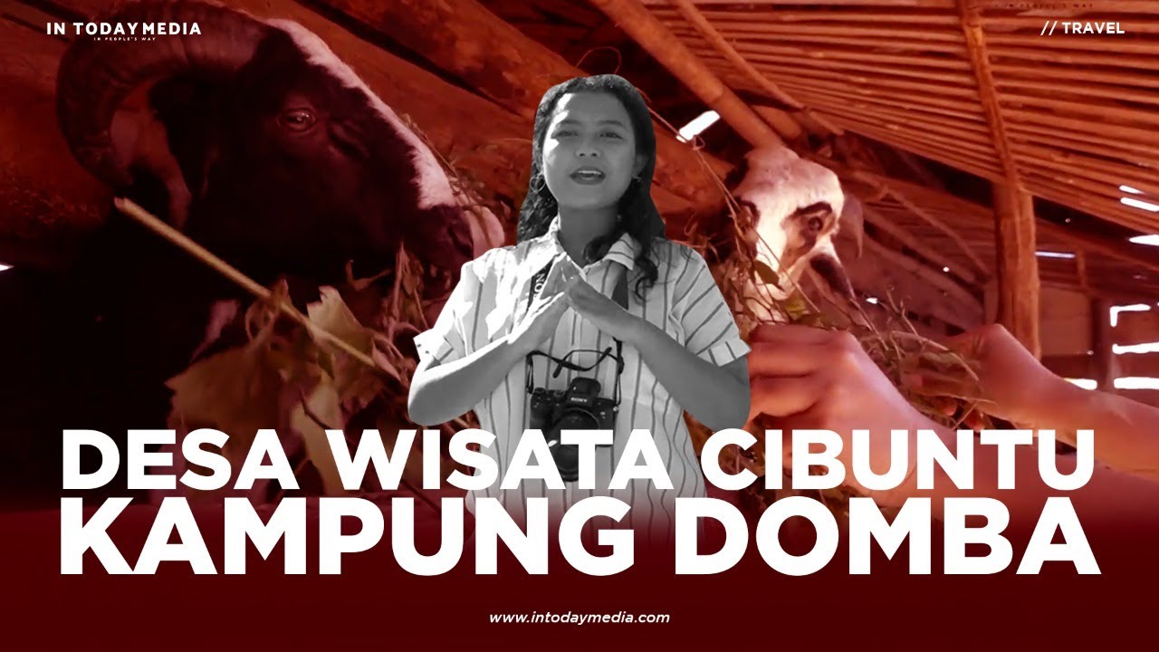 Wisata Unik di Kampung Domba Cibuntu, Kuningan