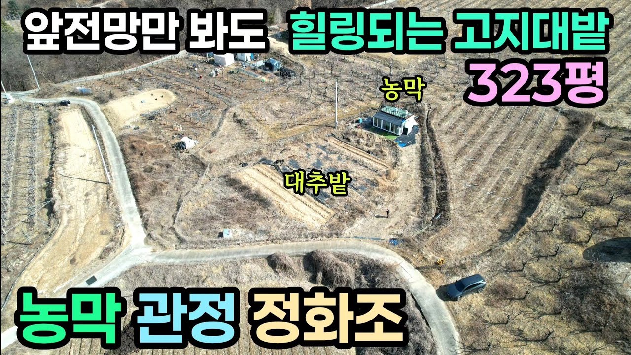 (791번)고지대 탁트인전망 농막있는 전323평 6,900만원 관정,정화조,대추나무 #보은부동산 #충북보은토지