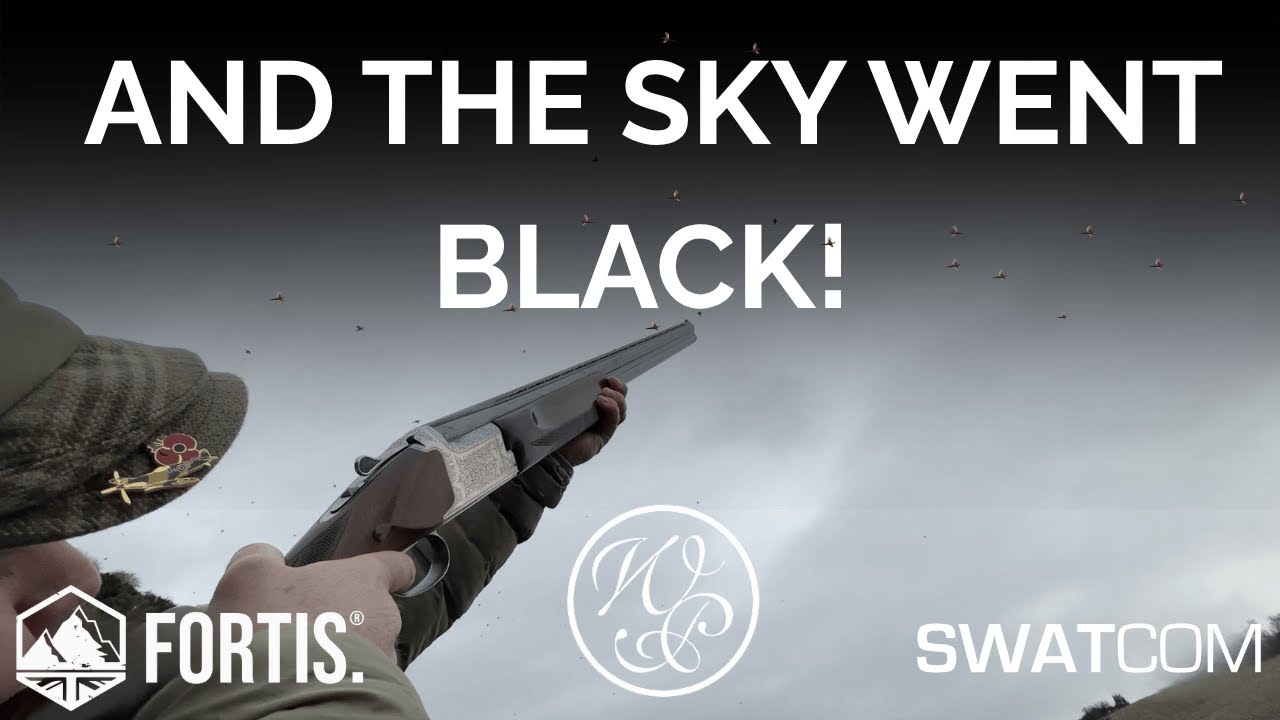 And The Sky Went Black At Warter Priory!