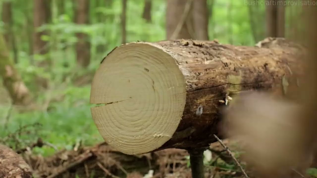 Building a Log Survival House (Nightmare at 3:00 AM)