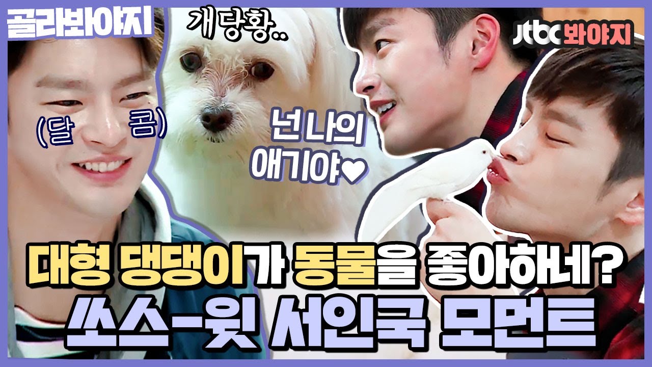 [골라봐야지] 잉구기 꿀렌즈 장착👀 동물만 보면 스-윗한 미소 짓는 대형 댕댕이 서인국❣️｜마리와나｜JTBC 160330 방송 외