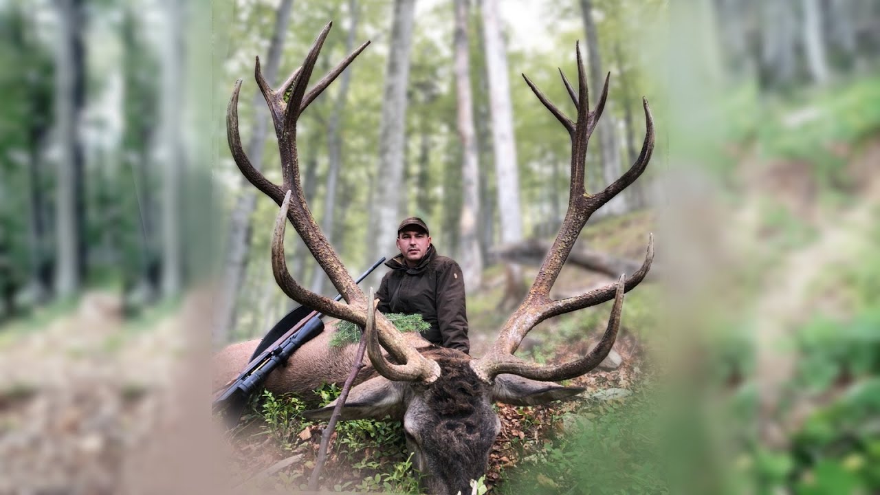 Red stag hunting in Romania - Hirschjagd in den Karpaten - Kronhjort jagt i Rum&aelig;nien