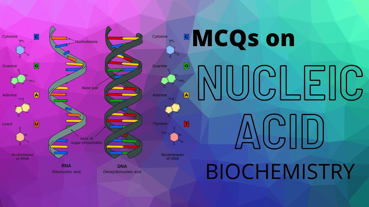 MCQs on Nucleic Acid || Part 2.2 || Biochemistry || Dentophile