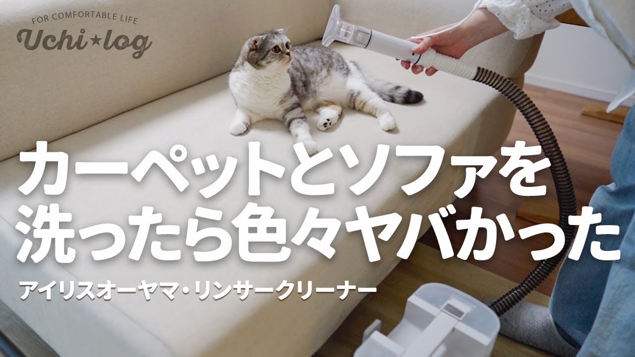 買う前に見て！リンサークリーナー正直レビュー。カーペットとソファーを洗ってみた結果と8年目のソファーに起きた悲劇｜アイリスオーヤマ｜RNSK-P10