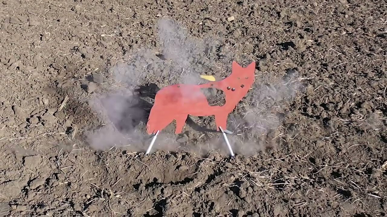 Full Size AR500 Coyote Target In Action - Atlas Target Works