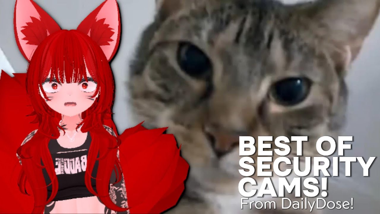 Prison Vtuber Reacts to Best Security Cam Videos of the Decade by Daily Dose of Internet