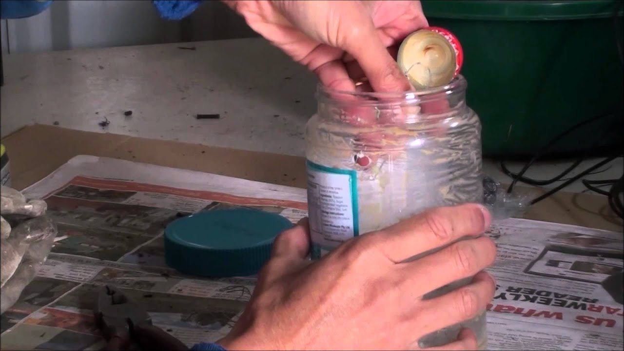 Making European Wasp Trap that destroys nest