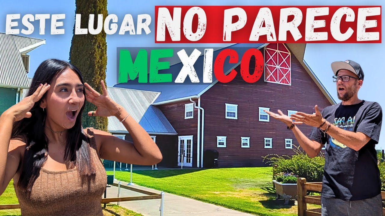 El Corredor Comercial MAS GRANDE de Latinoamérica! Comunidad MENONITA en Cuauhtémoc, Chihuahua.