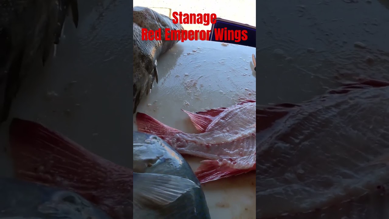 Stanage - Red Emperor Wings 🪽 #fishing #stanage #redemperor