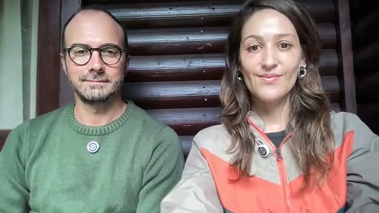 Latidos para barulhos, reativo só na guia, mais de um cão na casa e ciúmes, reativo com visita