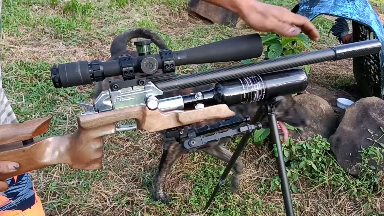 pest control bayawak(2)