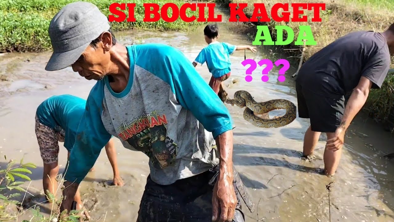 Cari Ikan Di Kolam Terbengkalai || Si Bocil Sampai Kaget
