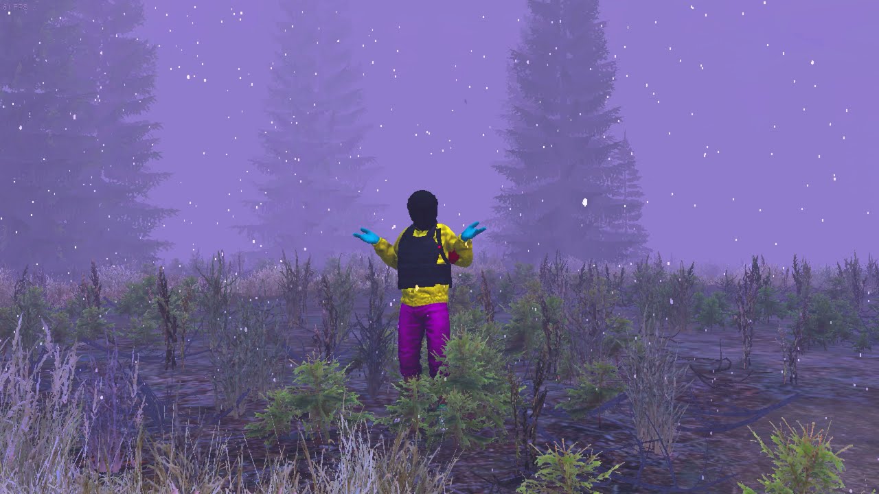 4FURI4 || HighLight - DayZ SA #3