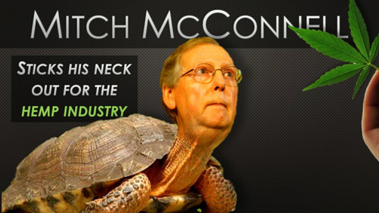 Mitch McConnell: Hemp's Unlikely Hero
