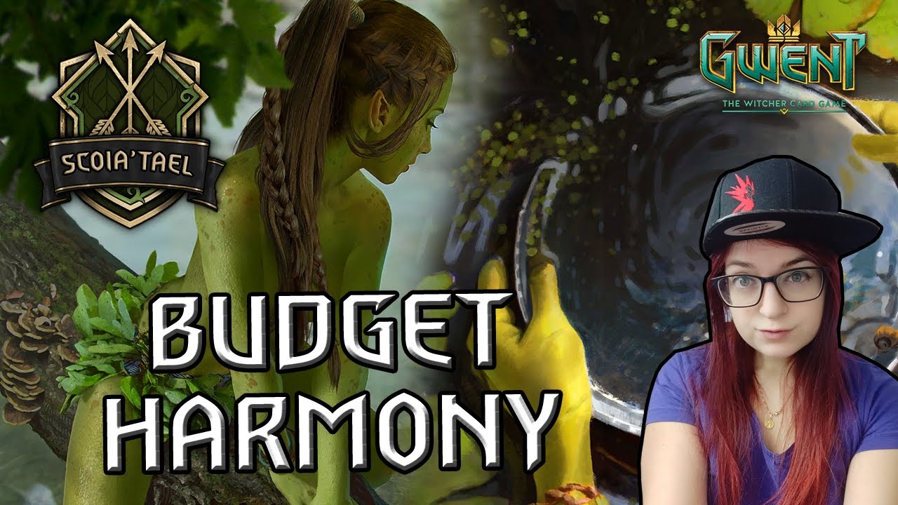 Gwent | Scoia'tael | Mystic Echo Ranked Deck Guide | Budget Harmony
