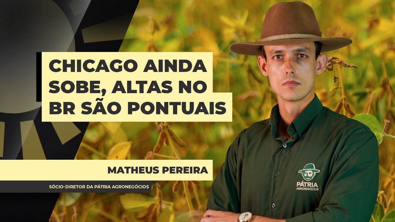 Disparada da soja na Bolsa de Chicago traz altas pontuais e regionais no Brasil