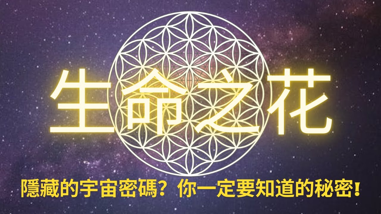 生命之花：古老智慧與宇宙奧秘的完美交會 -  這個古老圖騰隱藏宇宙密碼？你一定要知道的秘密！