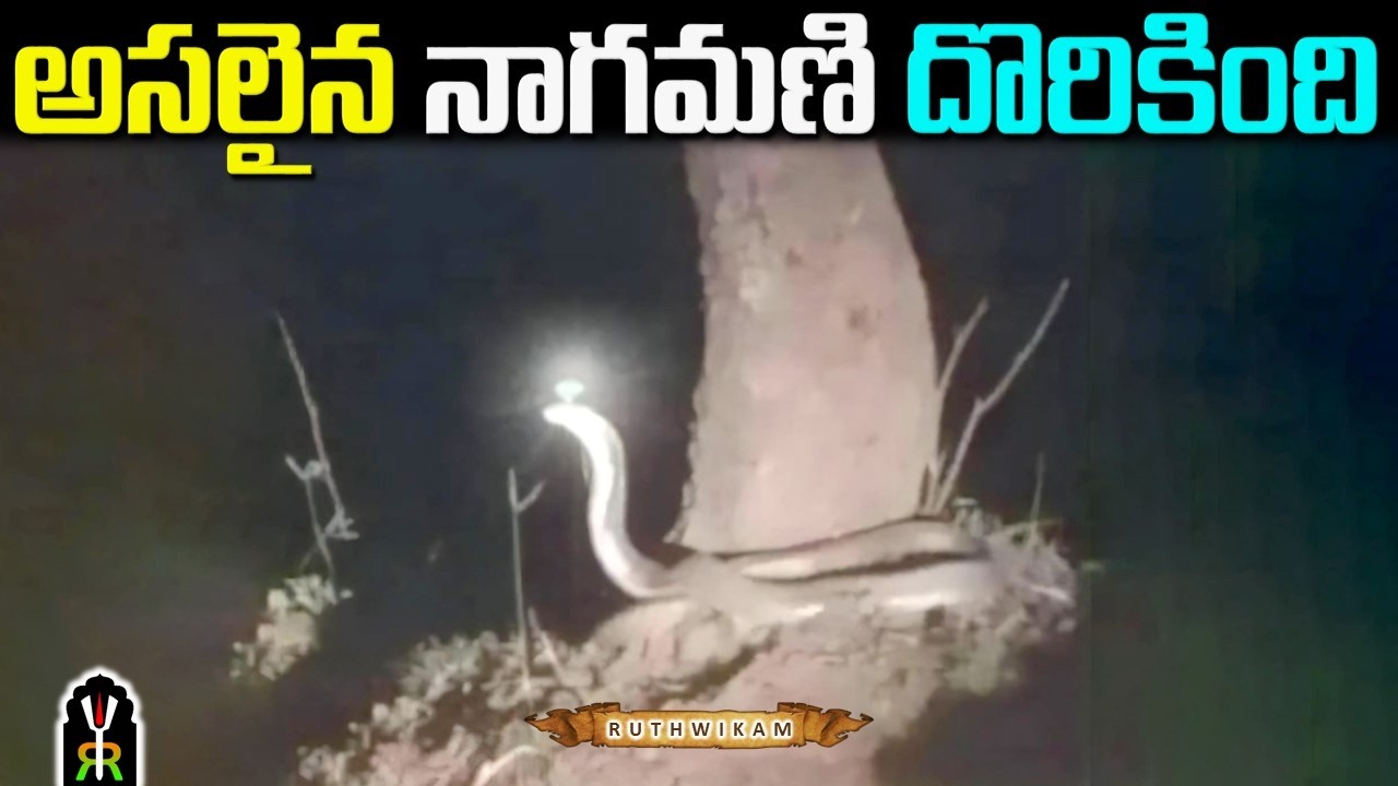 Nagamani Secrets in Hindu Mythology | Mysteries & Hidden Facts in Telugu | Hindu Devotional Stories