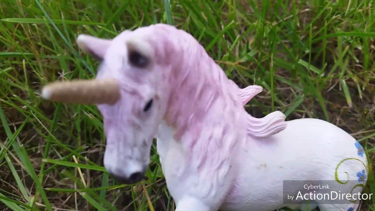 Die Geschichte der magischen Fohlen❤🐎Folge 1