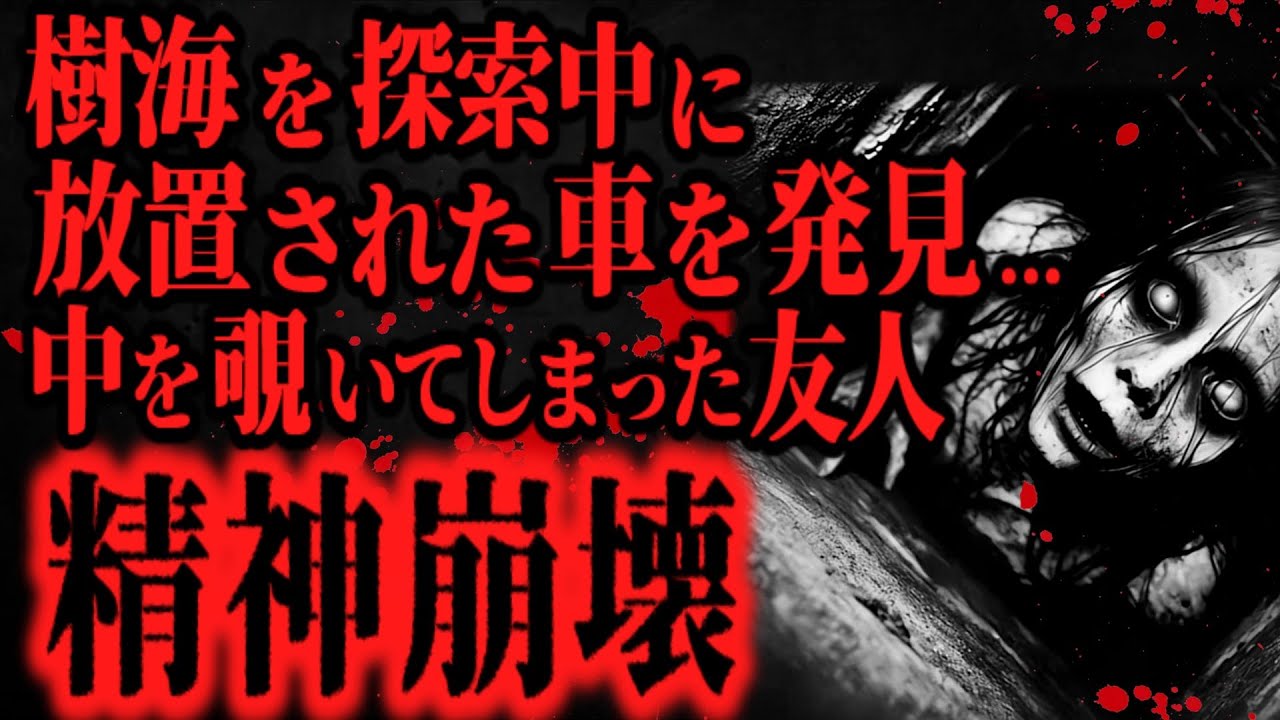 【最恐】※警告※樹海で車を見つけても絶対に中を覗くな【怖い話】
