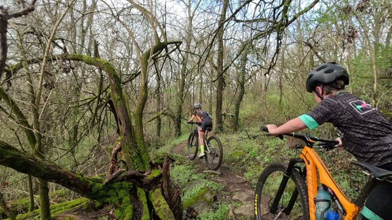 Hammer Drop Chickasaw - March 2026