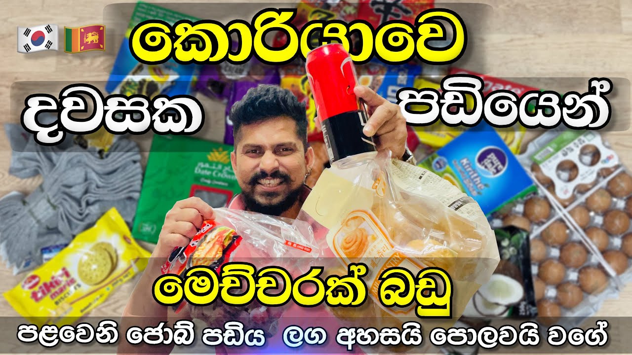 කොරියාවේ දවසක අඩුම පඩියෙන් මෙච්චර දෙයක්, දවසට පඩි කීයද එතකොට | day salary in south korea 🇰🇷 #korea