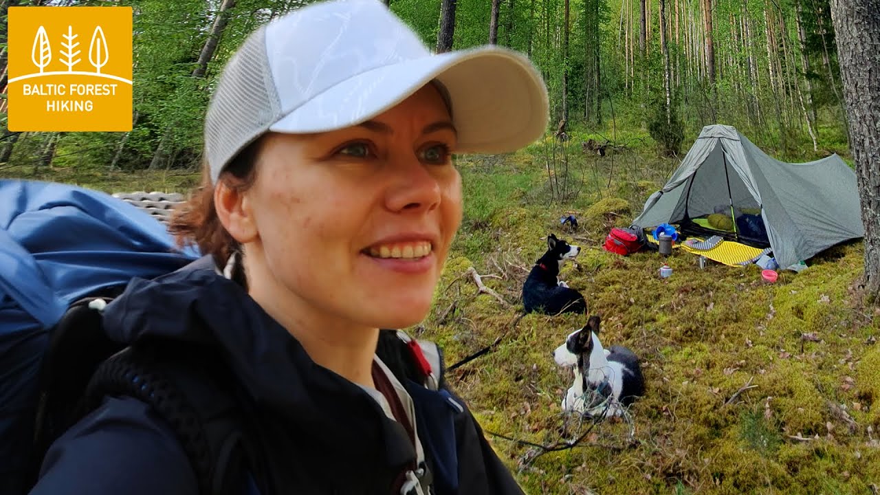Testing the new Baltic Forest Hiking trail with my two dogs!