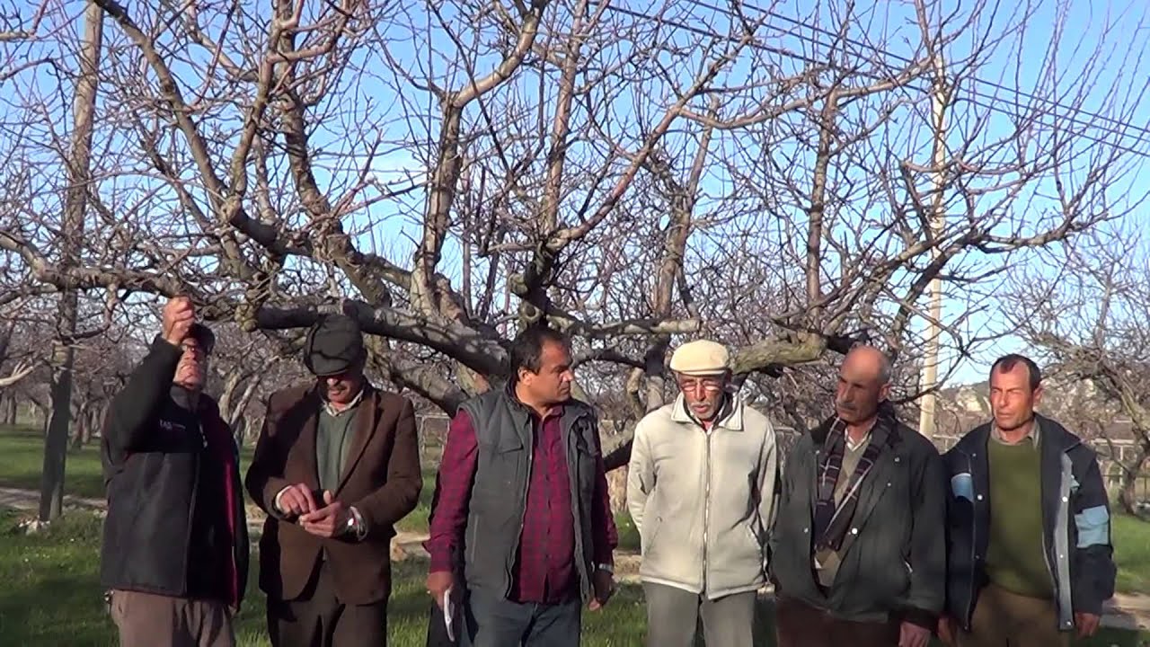 Gülnar Akova Elma Yetiştiricilerinin Sorunları