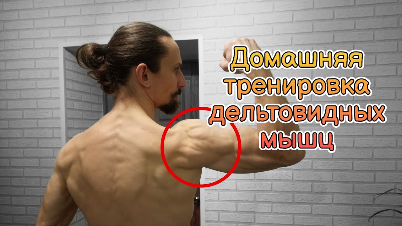 Эффективная тренировка дельтовидных мышц дома