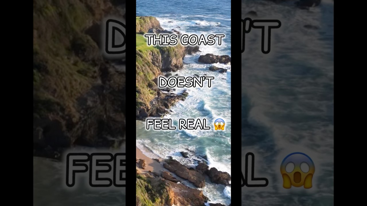 THIS COAST DOESN’T FEEL REAL shorts 