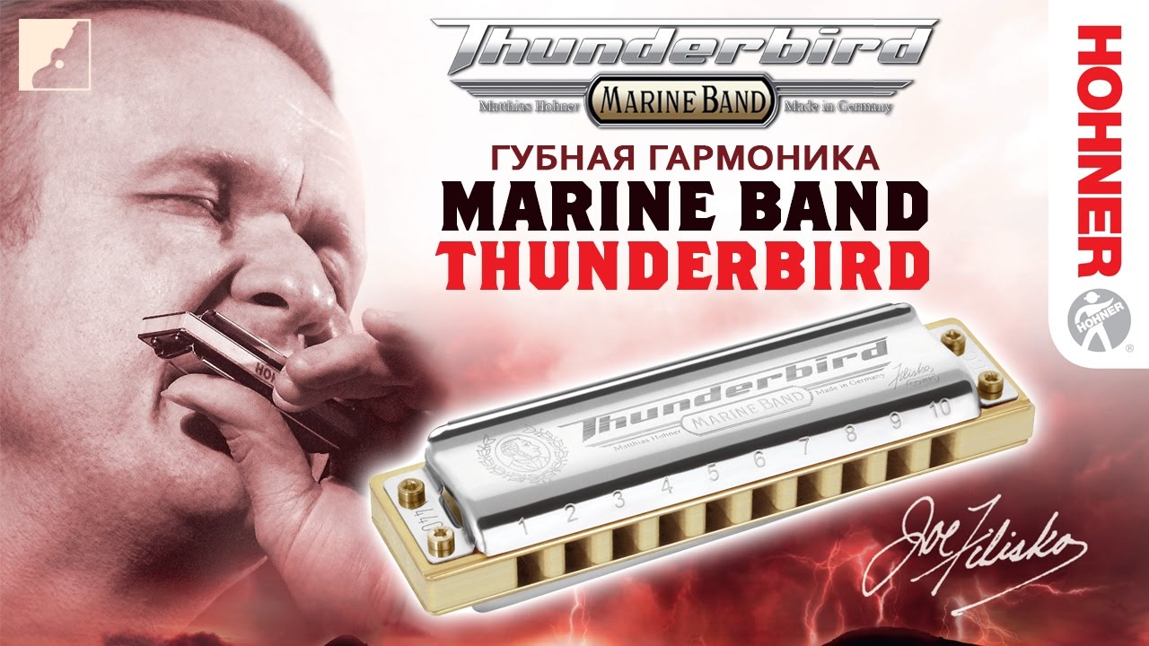 Обзор губной гармоники HOHNER Marine Band Thunderbird