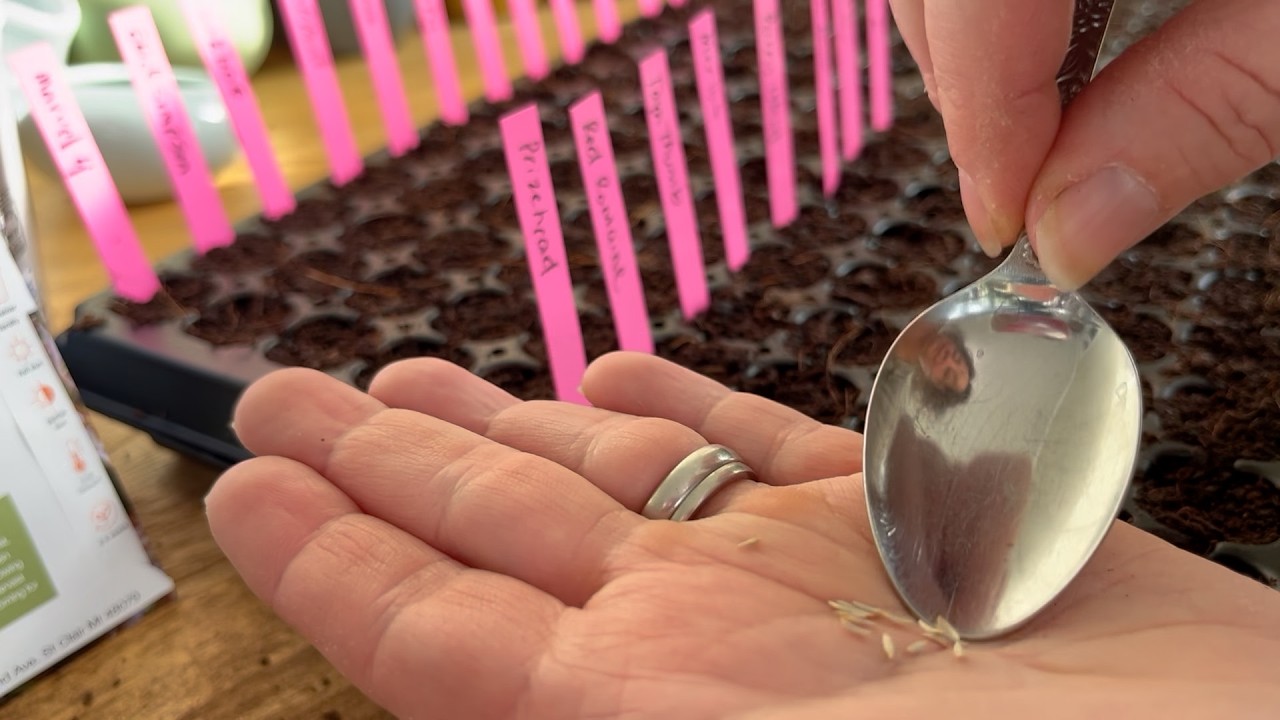 Starting the First Seeds Of 2026 (Lettuce, Arugula, Sorrel, Spinach, Thyme, Rosemary) : BSGardens
