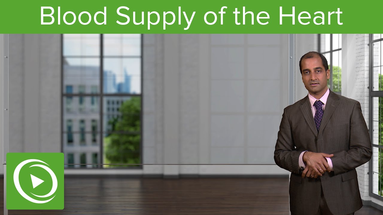 Blood Supply of the Heart: Supply/Demand Mismatch&ndash; Cardiovascular Pathology | Lecturio