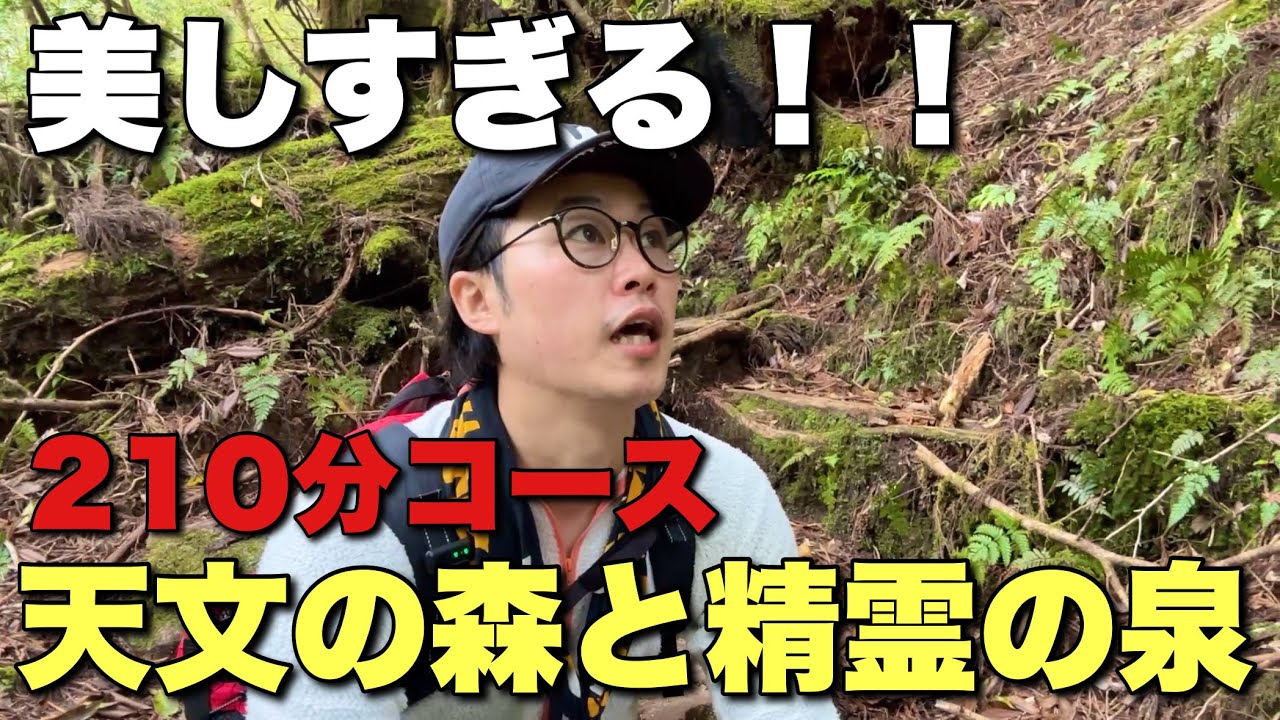 【屋久島登山】ヤクスギランド最長コース！最深部にある精霊の泉がありがたし！